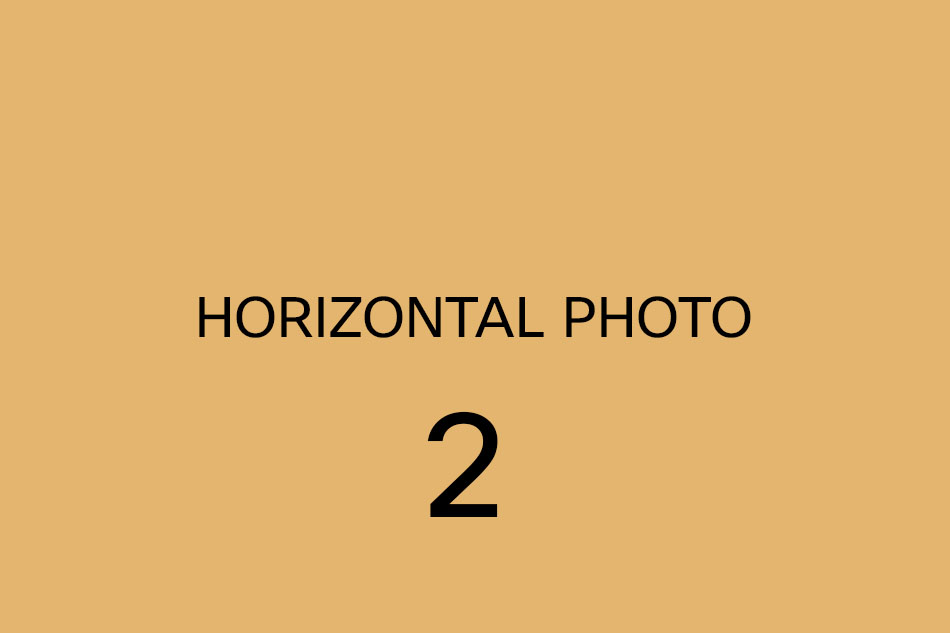 Registry Weddings at Valentines Mansion - Ilford