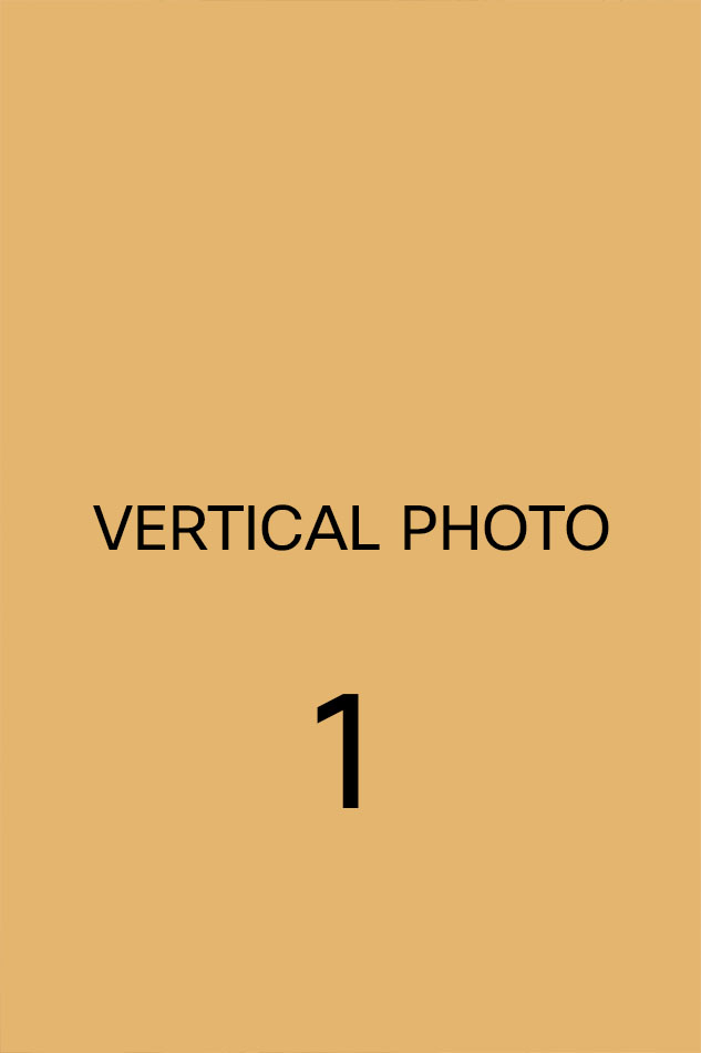 Registry Weddings at Valentines Mansion - Ilford